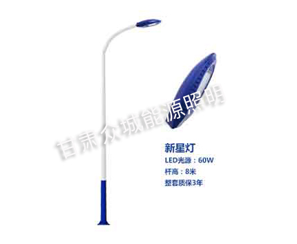 平安爆款市电路灯